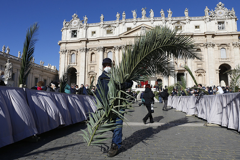 POPE PALM SUNDAY